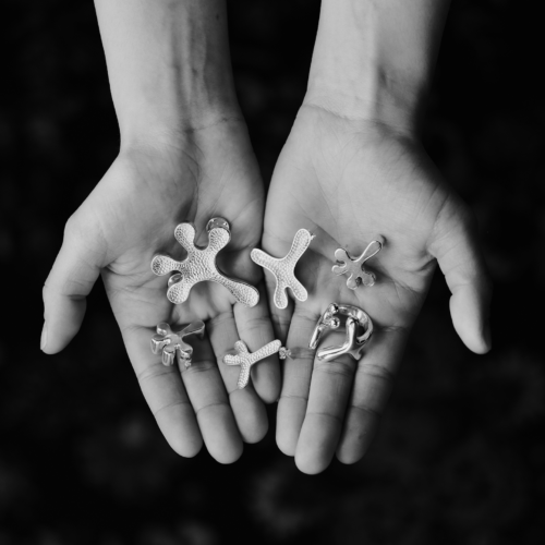 Carolina Andrade featured image