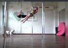 Pole Fitness Pair - Plus Dog